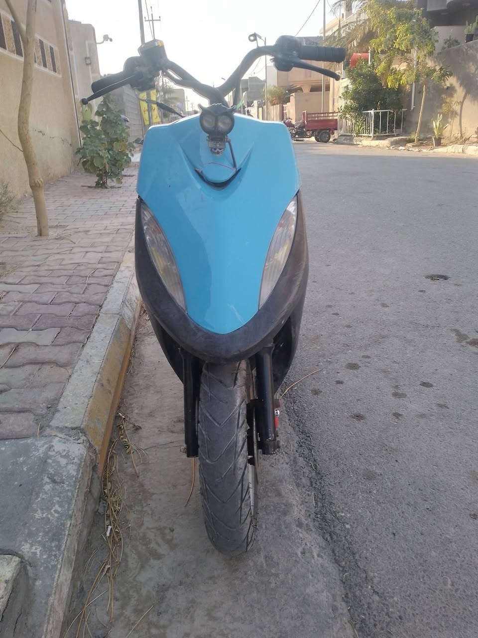 ***********

250
