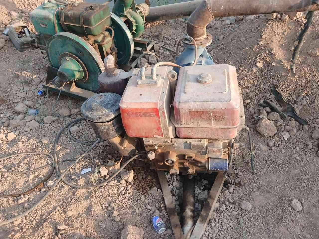 فيت نامي البيع مكان ديالى خنزيرة ٦ ب٦ ***********
