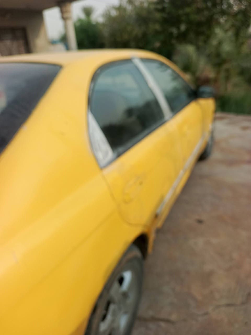 سبكترا • ٢٠٠٤ • ورقه