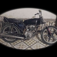 نامه • شغاله • جاهزه