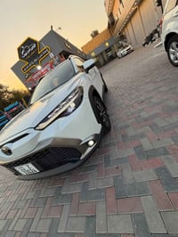 فروت لاندر اس • كفاله جديده • مغلفه بالرايز