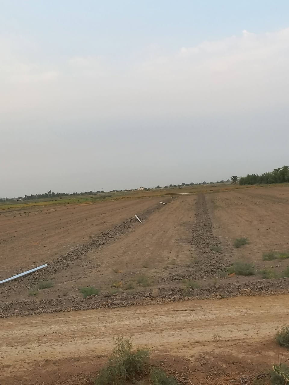 سند ٢٥ • ٨ دونم • منطقة الشيخ عامر