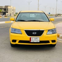 سوناته • ٢٠١٠ • وارد امريكي