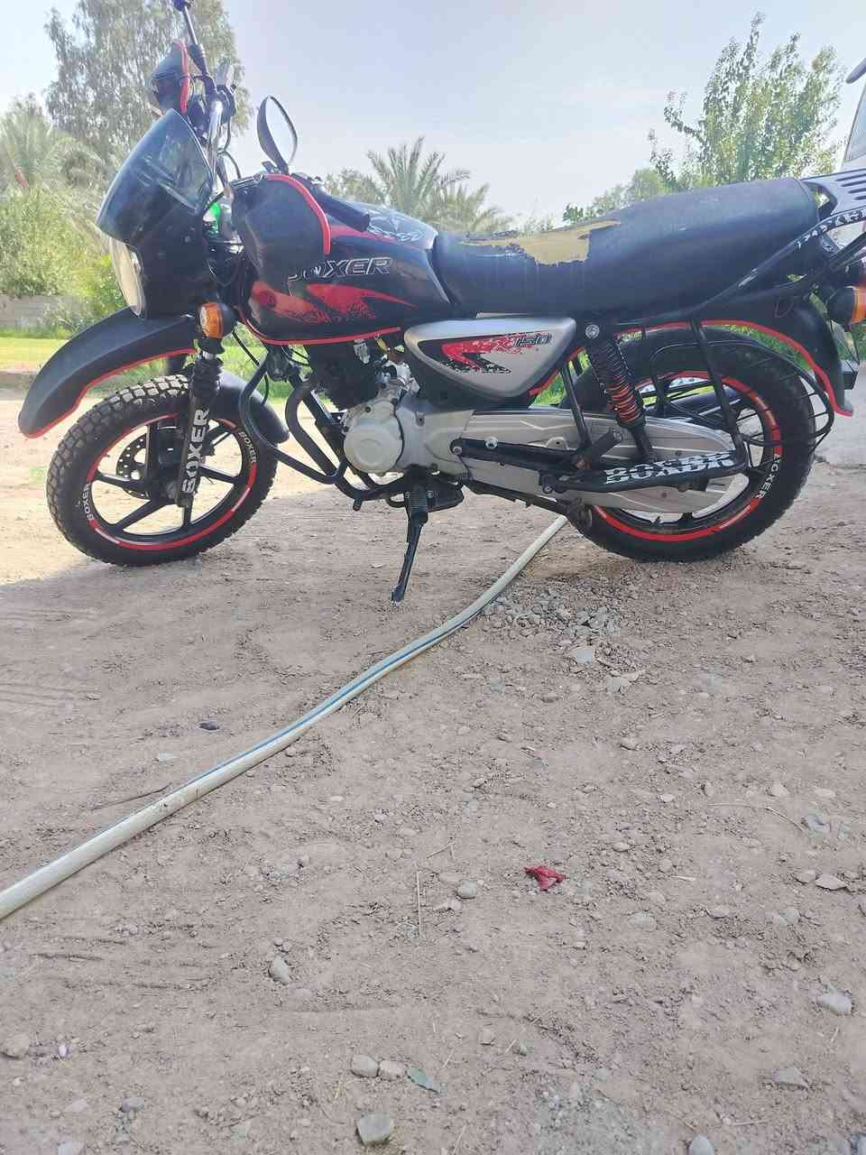 بوكسر • ٢٠٢٢ • بطاقة سكن