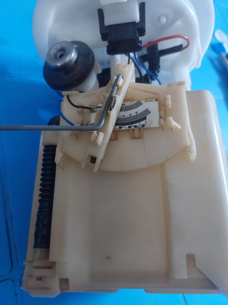 طوافة • بيجو بارص • شغالة