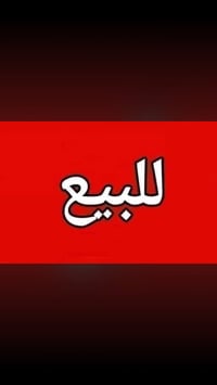 الصالحية • ١٢٠م • كونكريت مسلح