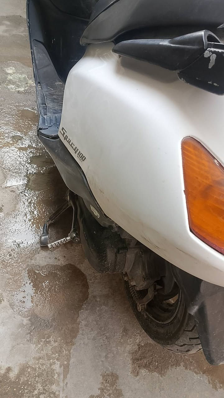 سبيسي • ياباني • مكينه خرسه