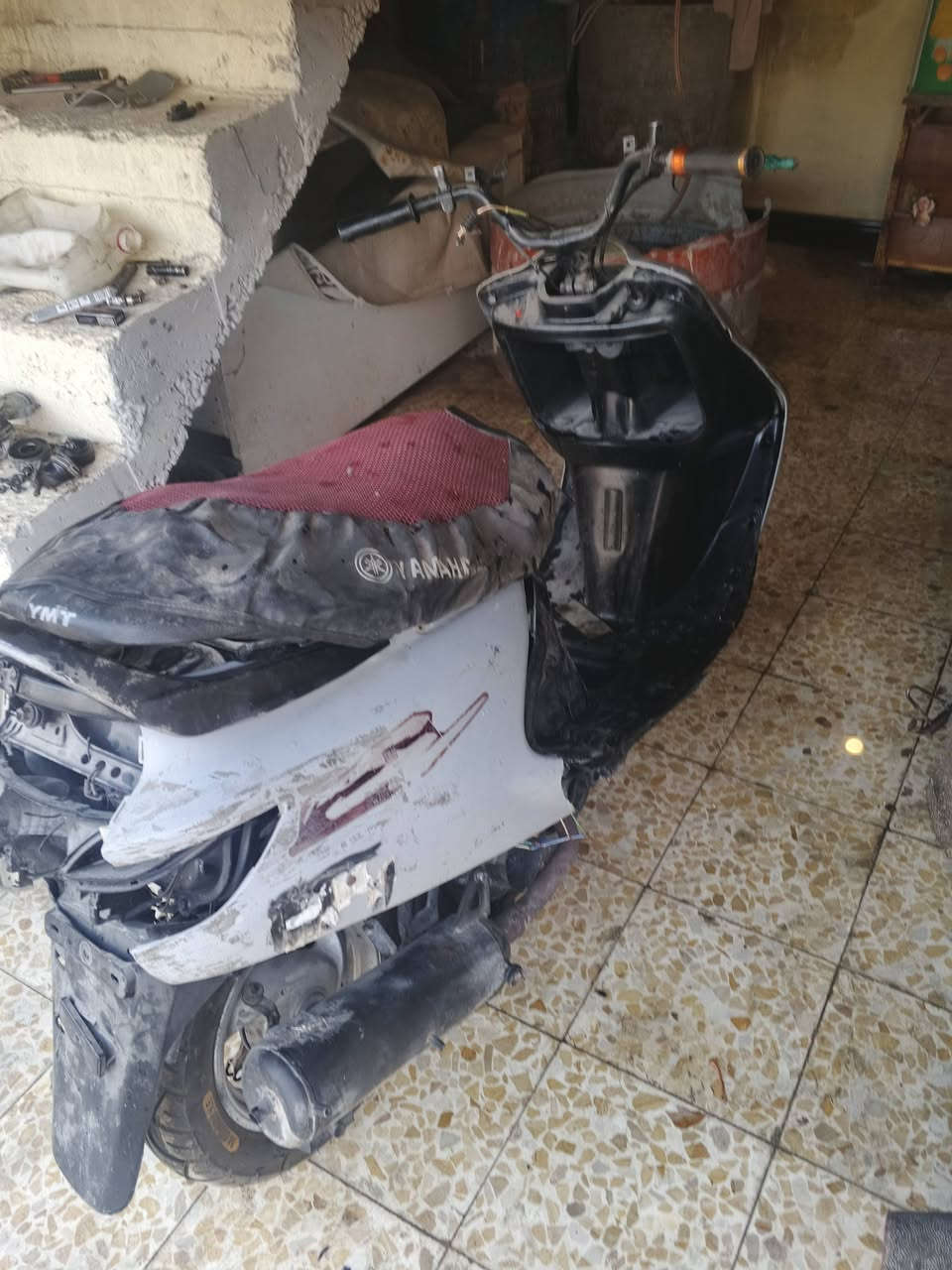 فراشة • نثية • كاطعة نار