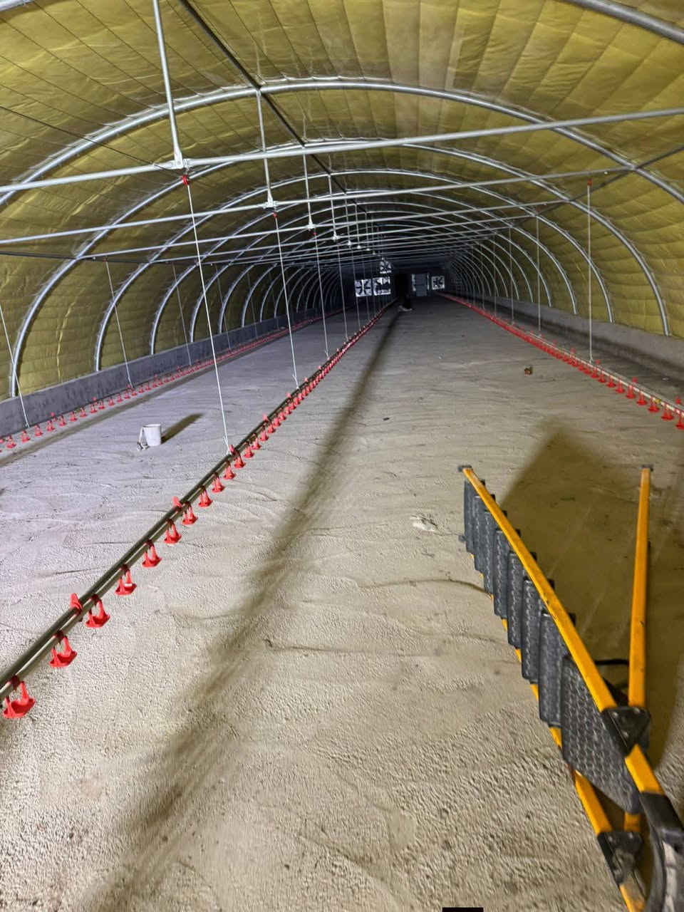 يالله توفر لدينا.... حقوال التربية الدواجن —عرض 9متر والطوال حسب الطلب من20الى80متر ——وچوادر وعازل شركت الباخره ذو ضمان 5سنوات —ويوجد ايضاً جادر صوف الحمايت الحقوال من اشعة الشمس والحفاض على جادر والعازل من التلف —ويوجد ايضاً مفرغات وتبريد صحراوي ومعالف وجميع مستلزمات الحقول—ويوجد ايضاً بيوت مشاتل للنخل النسيجي —وبيوت زراعيه -ويوجد كادر نصب متخصص بنصب البيوت بأنسب الاسعار نشالله ——ويوجد توصيل آلجميع المحافظات—-للتواصل ———***********——***********
