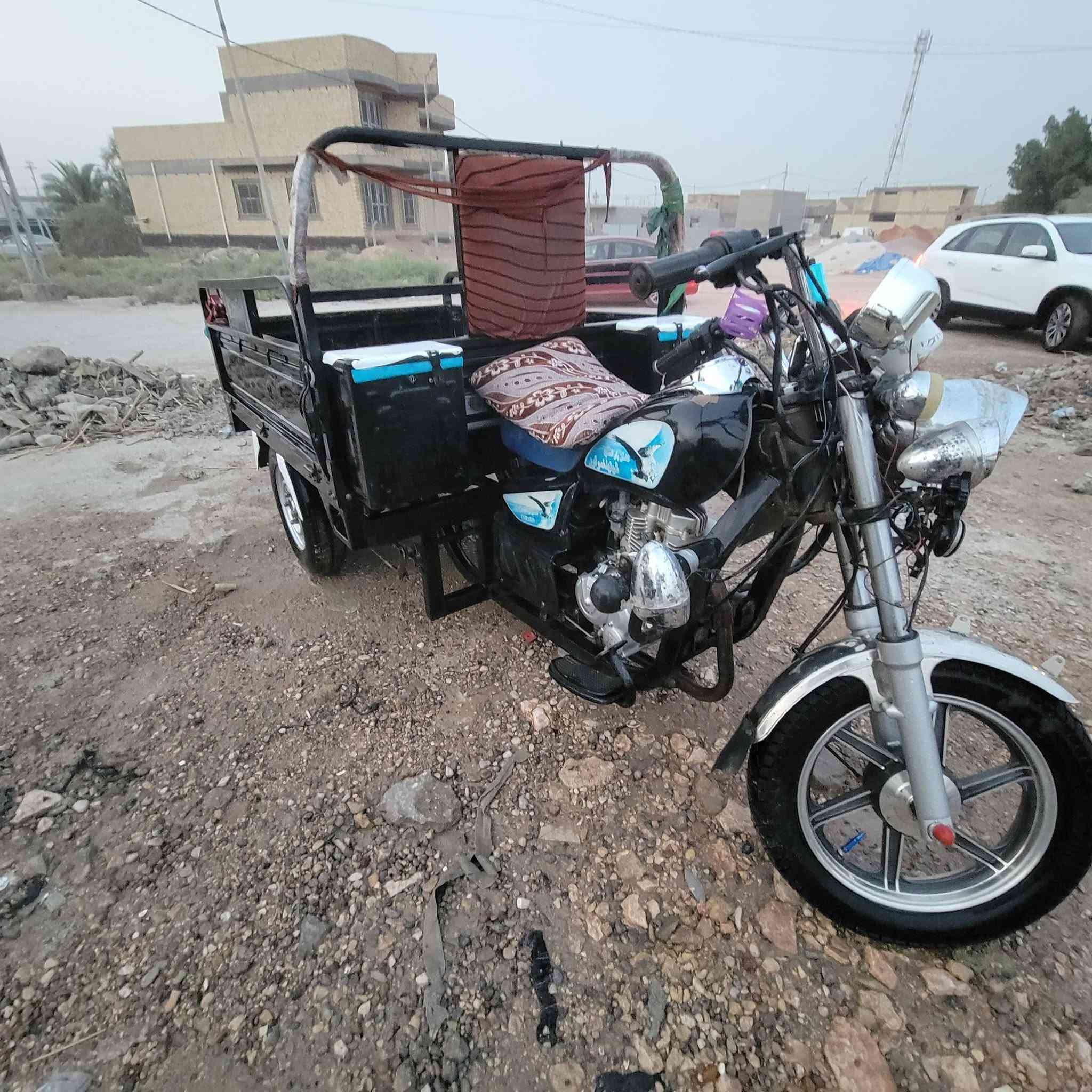 ستوته • ٢٣ • مكفوله