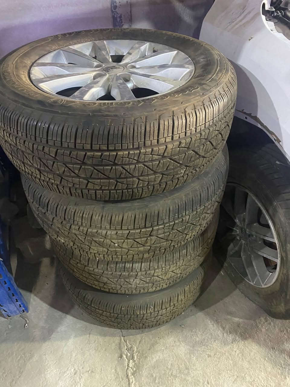 توفر ويلات دورنكو مختلف الاشكال والاحجام
اخوكم مصطفى حارث
يوجد توصيل 🚚 كل العراق
***********

نص مكتوب في الصور:
- مصطفى حارث *********** DODGE
- مصطفى حارث
- DODGE
