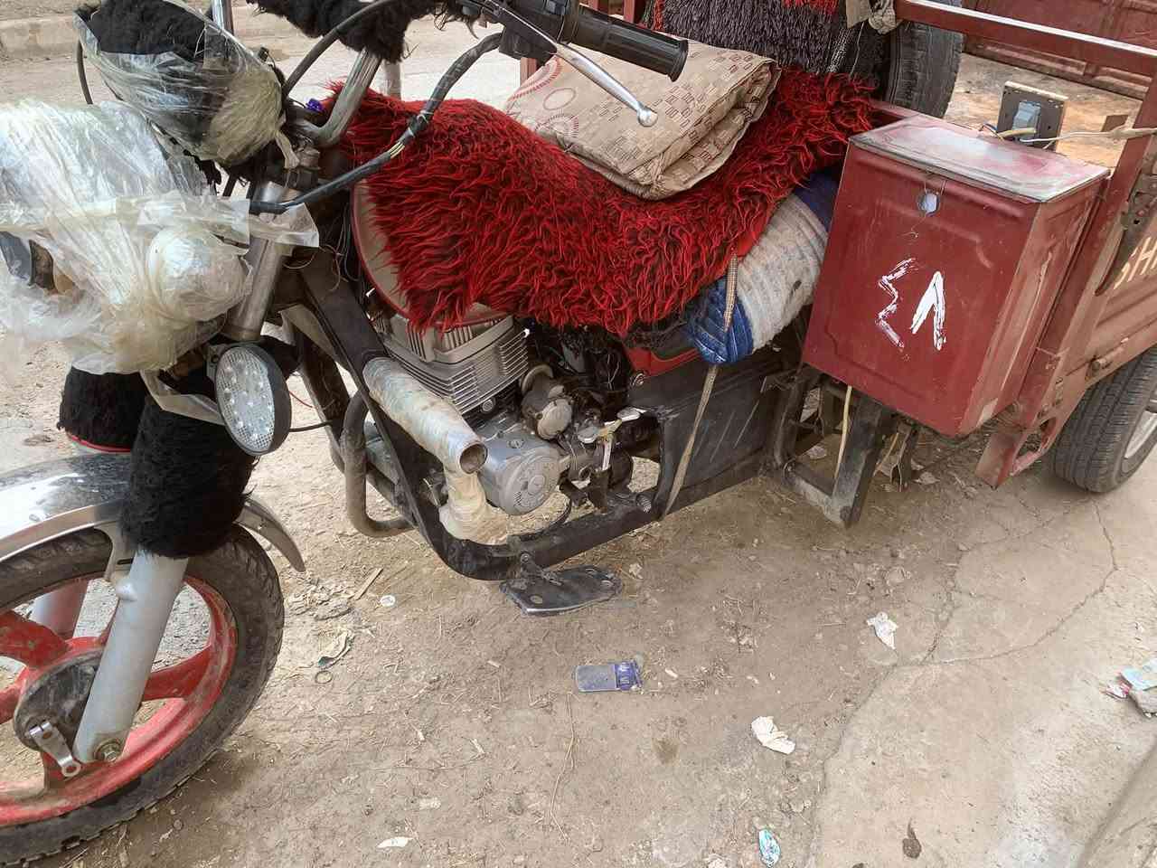ستوته • موديل ١٩ • اوراق كامله