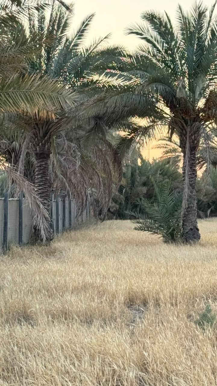 ✅سلام عليكم اخوان 2000متر سنتر عله تبليط 
✅بيه مي اساله وكهرباء ومي سقي ومسيجه Brs

طابو زراعي سند 25 تحويل مباشر 📝

الموقع خلف جامعة ناحية ابراهيم الخليل 

لمعرفه السعر وباقي التفاصيل اتصل وتدلل ***********احمد التميمي
