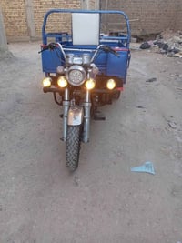 فحل • موديل ٢٠١٩ • مرقمه