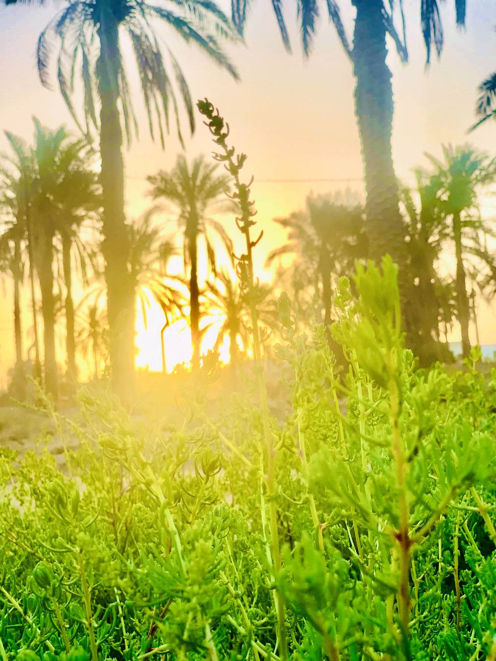 4K • مقاوم للماء • ناصريه