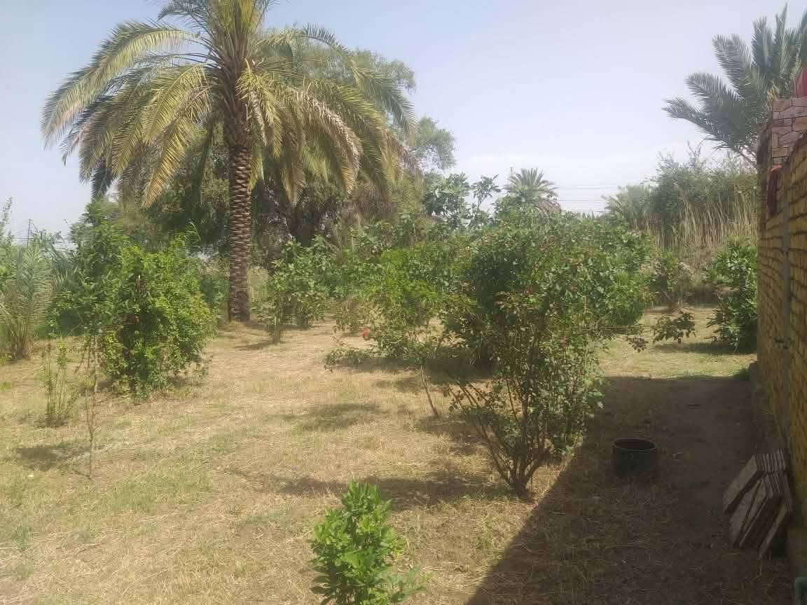 يالله يارزق 
🏡 بيت وأرض زراعية للبيع
📍 طريق الشافعية قرب الفوج التكتيكي
📐 المساحة الكلية 600م
🏠 مساحة البناء 200م
🌿 حديقة جانبية 400م
البيت يتكون من غرفتين نوم وصالة وبراني ومطبخ وصحيات خارجية وممرات داير البيت.
📄 زراعي سند 25
💰 السعر نقد 80 مليون
💵 وعادي أقساط: ينطي نص المبلغ والباقي كل شهر 500 ألف
للاستفسار خاص
