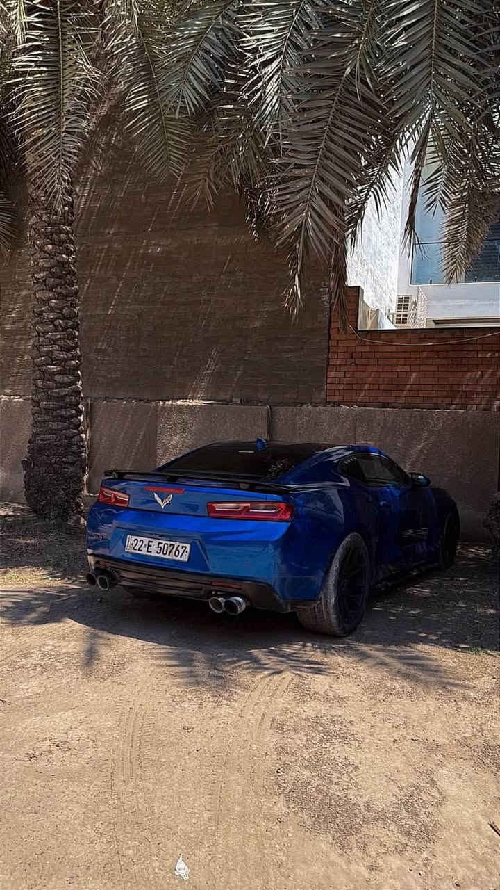 كمارو 2018 rs v6 عليها تزويد شوتهKn وهدرز وداون بايب وبرمجة وتفريغ بلكات ريسنك نوزلات ريسنك الضرر ٣ قطع صفحه السايق ابيع حزام نقوصاتها يحتاجلها تكحيل وبولش سعر 115قابل التفاوض الا تصال *********** المنصور الداودي
