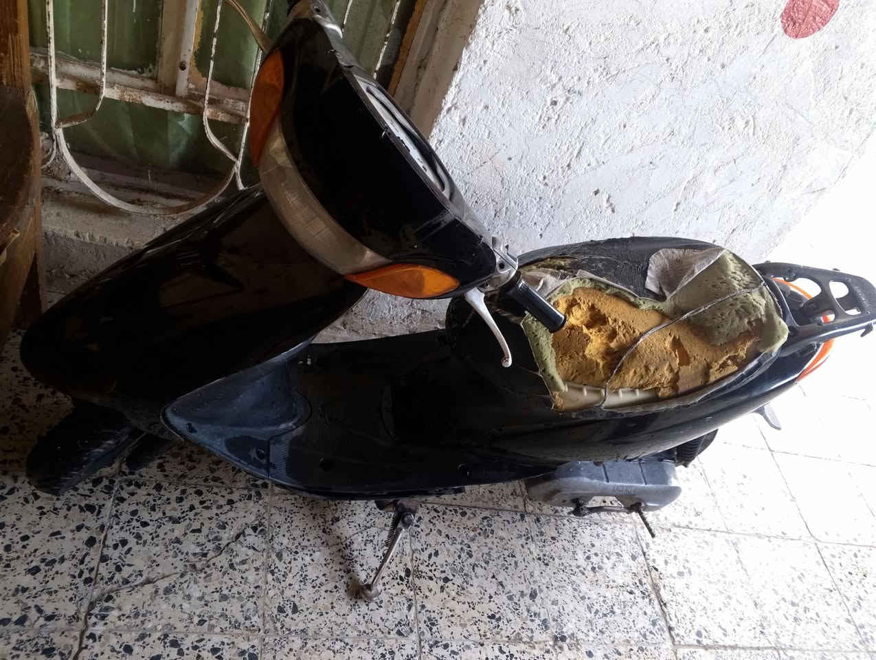 عصفورية • كهربايات شغالة • ماكنته فول