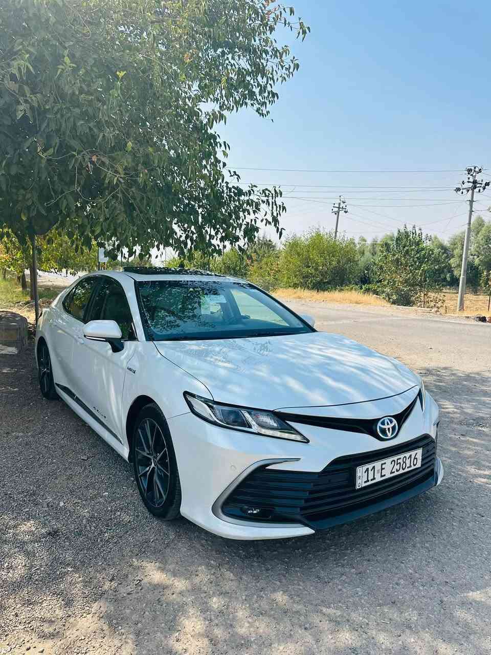 2024 gle عبداللطيف
ماشيه ٣٨
مكفوله 
مكانها ديوانيه 
238$
*********** واتساب
