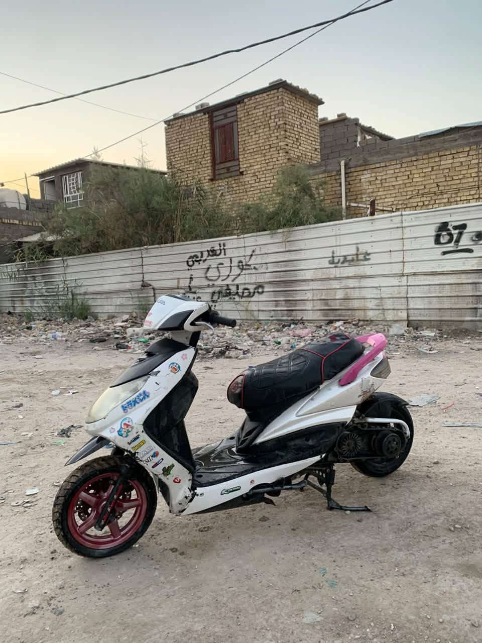 سكنس فحل • مراوس • شغاله