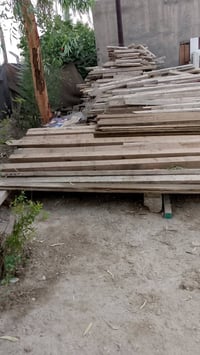 قالب مستعمل • واضح بالصورة • بابل الحمزه الغربي