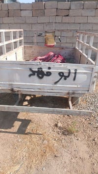 ستوته • شغال • محرك مكفول