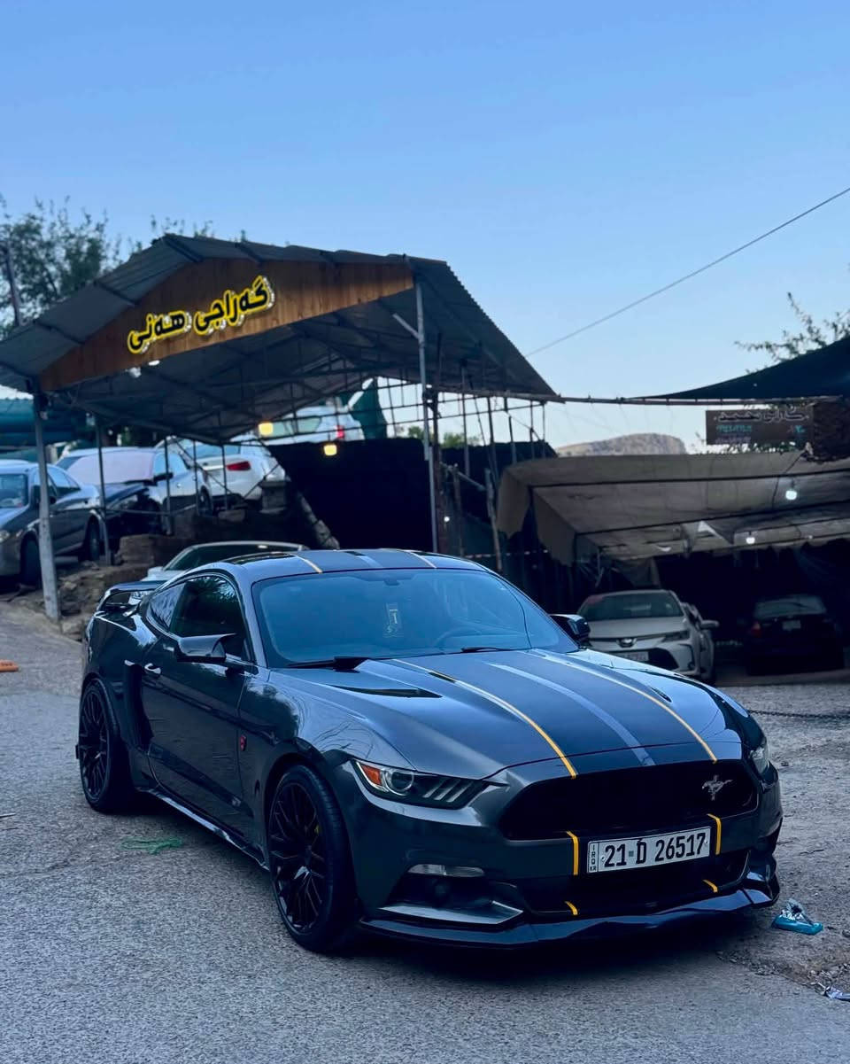 موستانج v6 
موديل 2015
رقم والسنويه جديد
رقم سليمانيه
كل شي بشرط
بي غرامه 500 $ انزل من سعر
صبغ حيزام بدون دواخل 
سعر 104 مجال قليل
رقم *********** السليمانية, العراق
