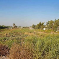 كربلاء الجذار • ١ دونم • واجهة ٣٠م