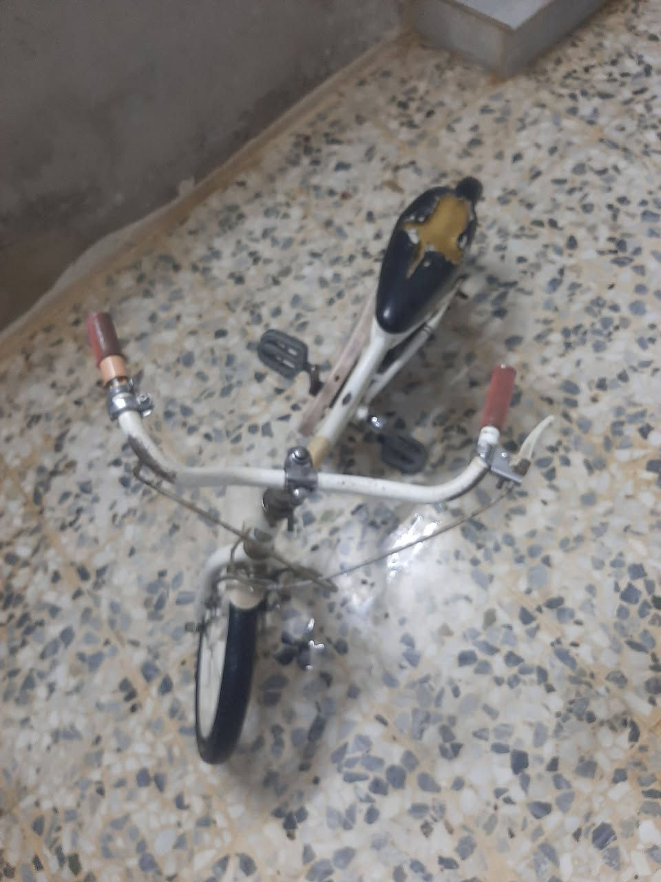 بايسكل عبدالحليم للبيع الحجم 16زغير بناتي البريكات شغاله الوره بانز نضيف جديد بس يحتاج جوابه السعر خاص راسلني واتساب او ماسنجر ويحتاج كشن
رقمي***********الموشراي لايتعبني 
ايهم الجبوري                            تحياتي للجميع❤
بايسكل عبدالحليم للبيع الحجم 16زغير بناتي البريكات شغاله الوره بانز نضيف جديد بس يحتاج جوابه السعر خاص راسلني واتساب او ماسنجر ويحتاج كشن
