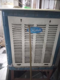 مبرده • شغالة • سرعتين