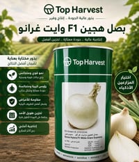 بصل وايت غرانو • توصيل مجاني • ضمان حقيقي