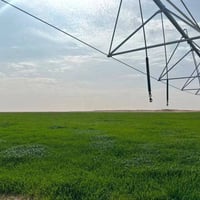 ٢٥٠ دونم • مرشات محورية ٨٠دونم×٢ • طاقة شمسية ١٦٥ لوح