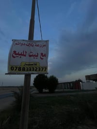 النجف الأشرف أبو صخير • دار ومزرعة • ٣ دوانم