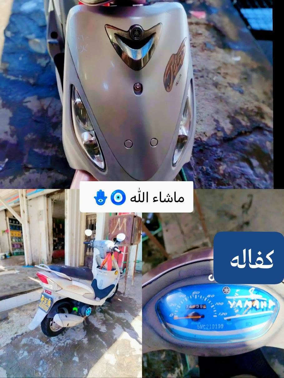 ماكس منغولي • كفاله • ختم واحد