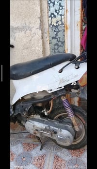 بيجي • كابريته • الخضر