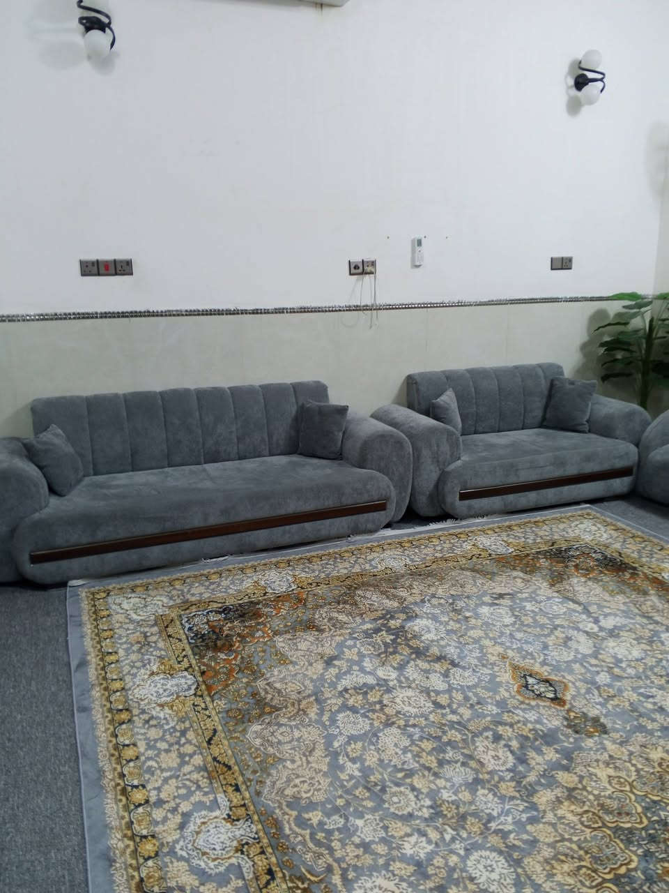 قنفات • جدد • اختلاف لون