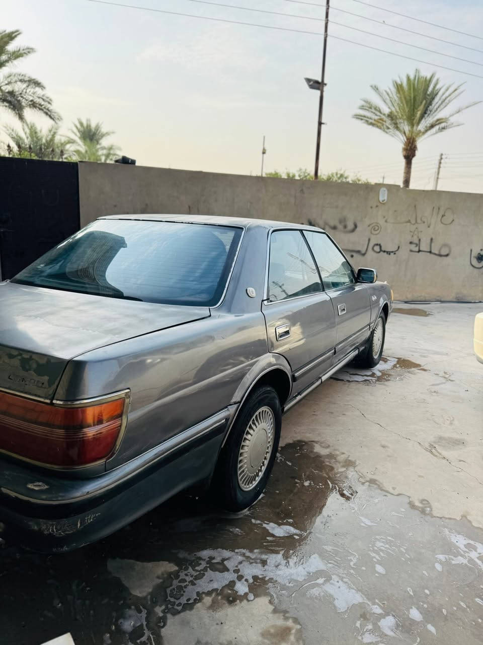 هارتوب • ١٩٩٠ • رقم ديالى