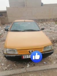 بيجو روا • ٢٠٠٩ • جسر ديالى