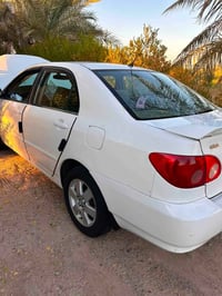 صبغ بدون دواخل • مكفولة • مكينة وجير