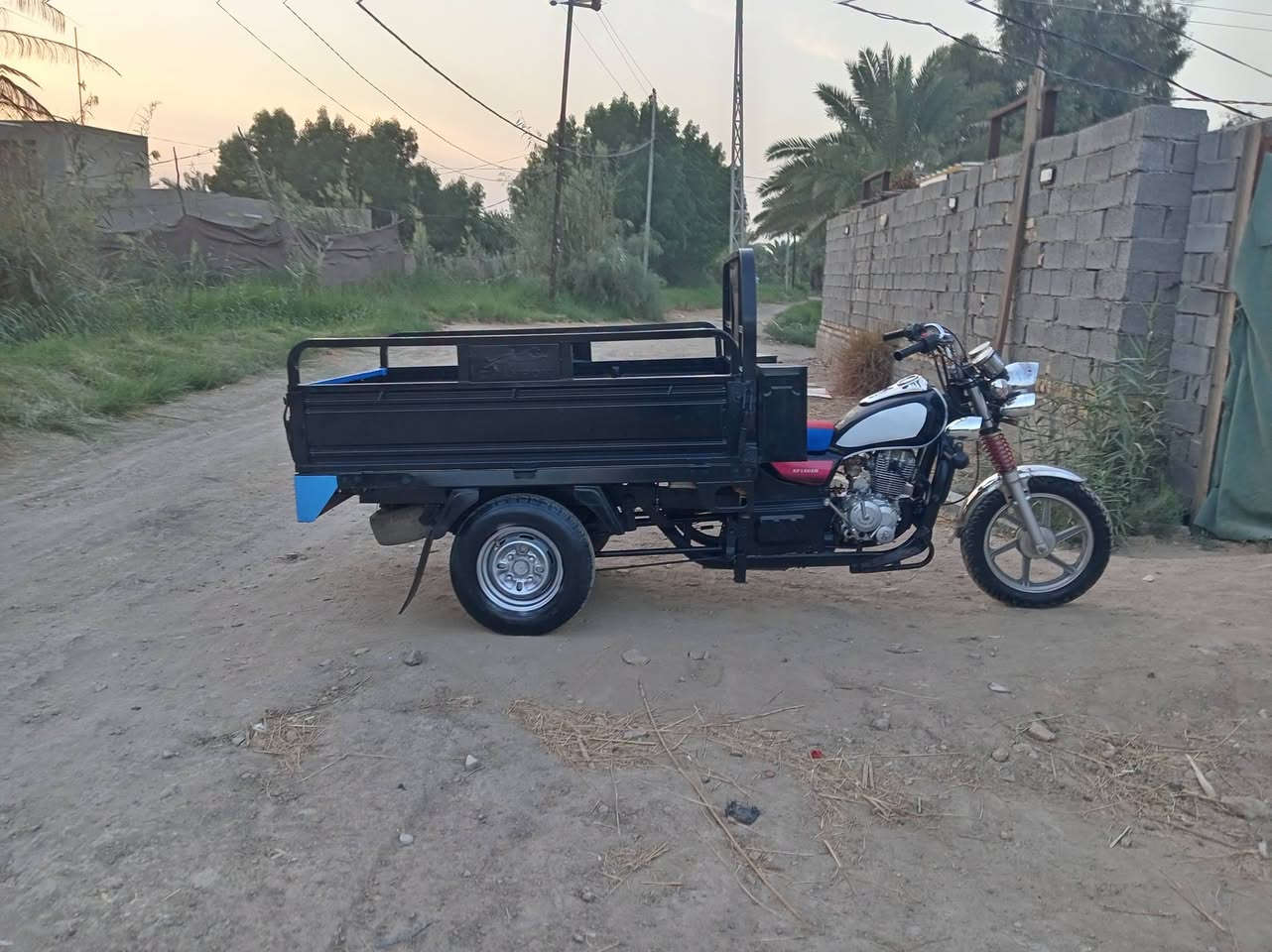 ٢٠١٦ • شاصي مكفول • كهرباء