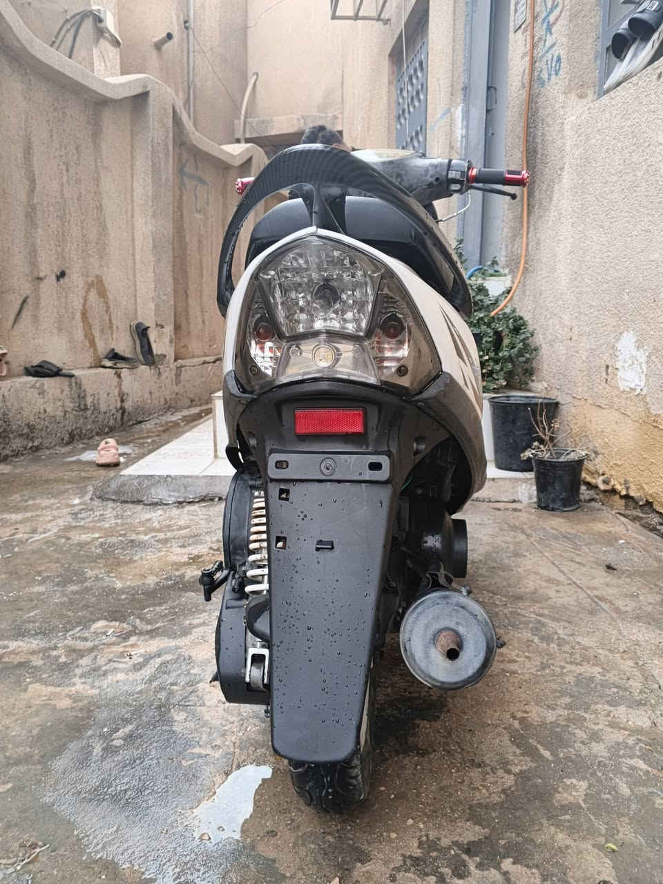 ماكس عدلة • نضيفة • باب طويريج