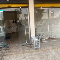 الزنجيلي • ٢-٤كيلو • عروض