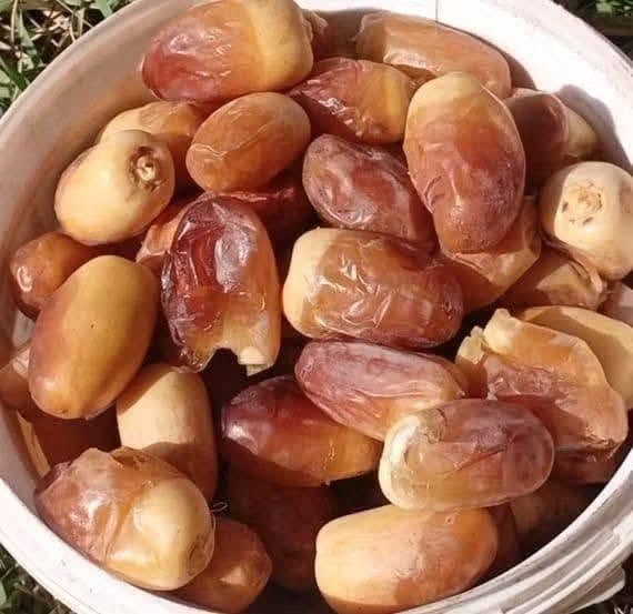سلام عليكم بوجد فسائل شويثي 
الفسيله+قلع+شتل ب10الاف
يوجد توصيل داخل الشطرة فقط 
للحجز والاستفسار ***********

