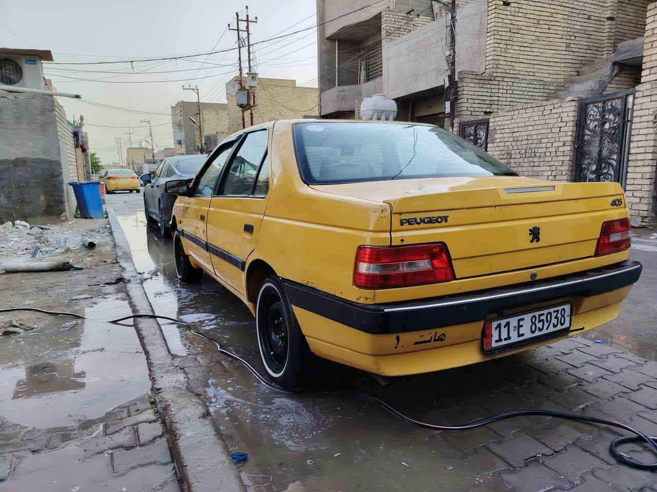 لميس • ٢٠١٢ • بدون صبغ