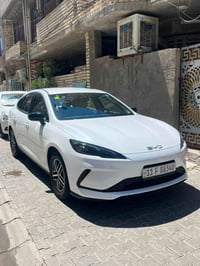 سيل 5 • ٢٠٢٥ • كفاله عامه