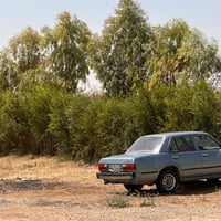 كرونا ٨١ • ازرق سماوي • تبريد ثلج