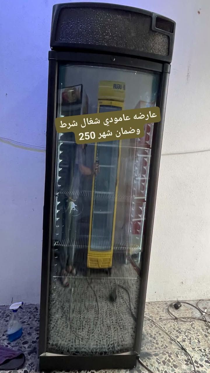يوغور تركي • ايكور تركي • ضمان شهر