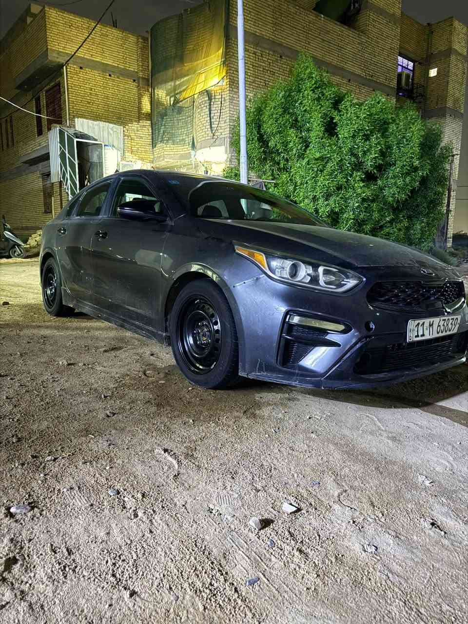 فورتي • ٢٠٢١ • كشنات جلد