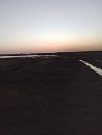 السنيه • ٢٠ دونم • طابو زراعي