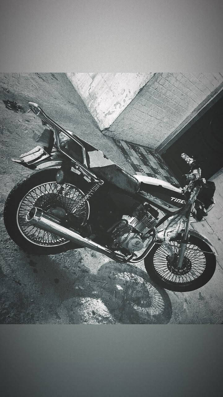 تايكر • كهربايات • ٢٠٢٠